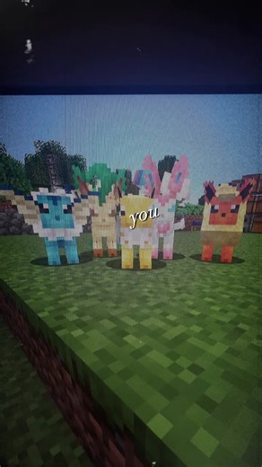 MrsCapybara on TikTok