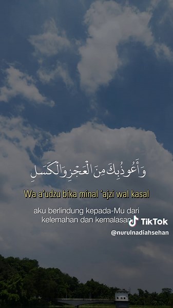 Aamin ya Mujib 🤲❤️ Assalamualaikum Selamat Pagi 🌹 #CapCut #jomselawat #perempuanhebat #quoteoftheday #allahumabarik #fyp #berandatiktok