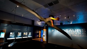 Pterosaurs: Flight in the Age of Dinosaurs comes to GRPM