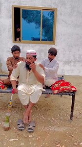 Birds Aviaries on Reels