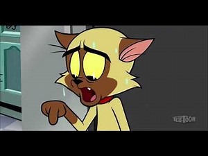 Literally How Every Bunnicula Adventure Starts