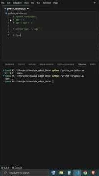 Python is all you need - Storing data in variables