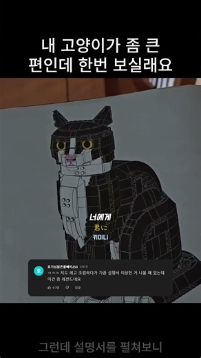 내 고양이가 좀 큰편인데 한번 보실래요