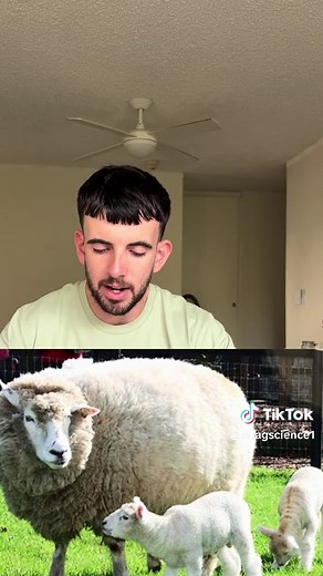 mragscience on TikTok