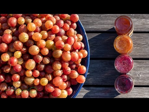 Stachelbeermarmelade nach Oma's Rezept | Anna kocht