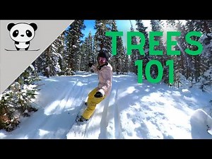 Complete Beginner's Guide to Start Snowboarding in Trees