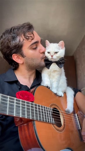 Elgun Nasibli on Instagram: "When you sing a mafia love song to your cat… and he suddenly becomes Don Yukione 😂🐈‍⬛"