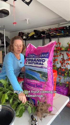 3.7K views · 914 reactions | These will go into my grow light area...