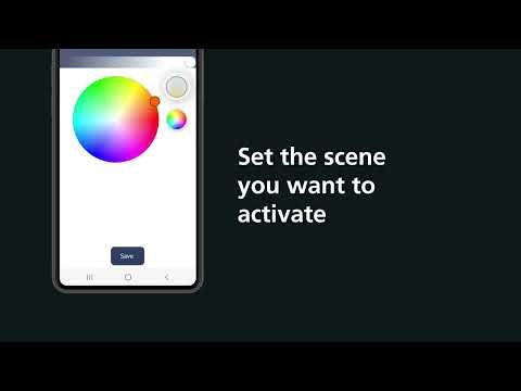 connect.z - Opret automatisering på flere produkter