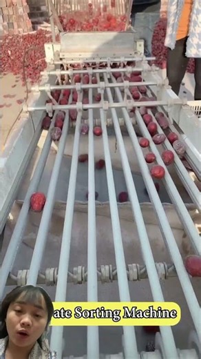 Apple sorting using a highly specialized system.