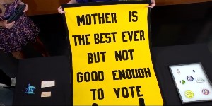 Minnesota Historical Society Political Artifacts