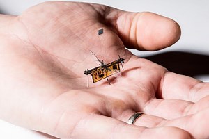 Laser-powered flying robot insect takes flight