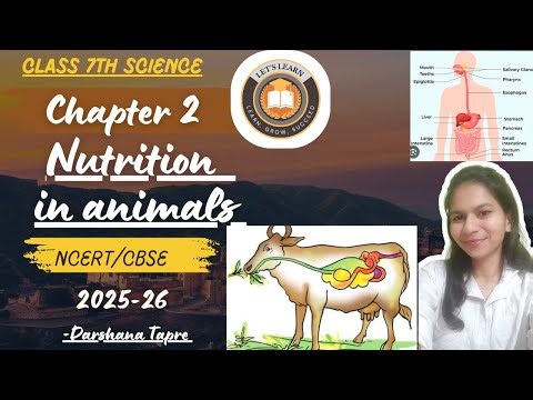 Nutrition in animal Full Chapter Class 7 science | NCERT Science Class 7 chapter 2
