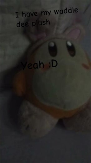 I like my waddle dee plush yeah :)#waddledee#cool#plush#