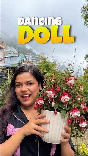 ভূতুড়ে ফুল নাকি রে বাবা!! 😨🌼 #shorts #lifestyle #gardening #fuchsia #flowers #plants #mountain