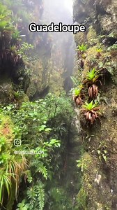 #Guadeloupe @david.pxl | La Beauté Antillaise