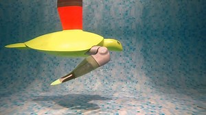 1.8K views · 17 reactions | A Scientific Reports paper presents a soft-robotic sea turtle that reproduces the real animal's form and function to provide biomechanical insights without the need for invasive experimentation. Read the paper: https://go.nature.com/3QoWHmG | Nature Portfolio | Facebook