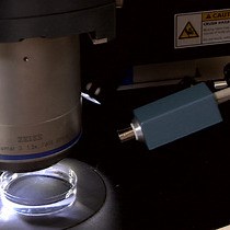 Video: Measurement of Extracellular Ion Fluxes Using the Ion-selective Self-referencing Microelectrode Technique