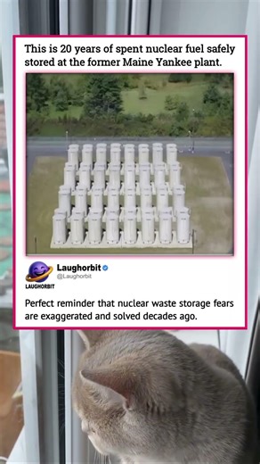 That’s All The Waste | funny memes | relatable American memes | dank memes