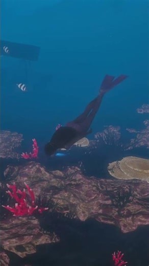 🌸 Peaceful Underwater Snorkeling | inZOI