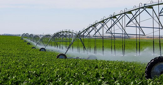 Sustainable agriculture matters