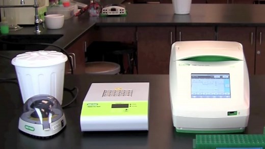 第二讲 DNA定量 DNA Quantitation Using a Spectrophotometer实验操作演示
