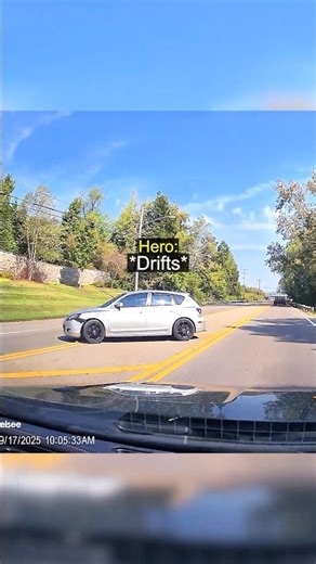 Hero Driver Drifts To Save Turtle