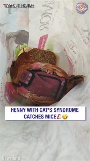 147K views · 224 reactions | This is definitely something you don't see every day! 勞 | Bright Side | Facebook