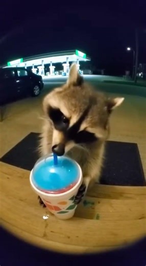 Who gave him a slurpee??#funny