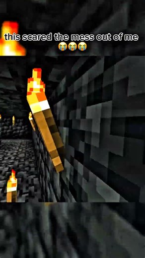 When you hit scary in Minecraft vr mod #minecraft
