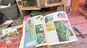 Check out these must have seed catalogs for the back yard gardener. | Tdgn Greenhouse