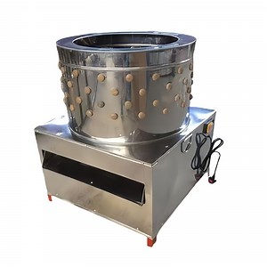 [Hot Item] Stainless Steel Bird Chicken Defeather Defeathering Equipment Machine for Poultry