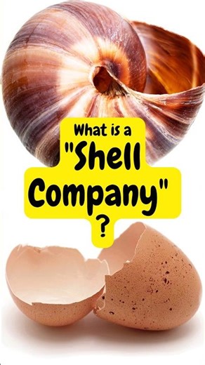 What is a "Shell Company" in finance ? #moneywiseminutiae