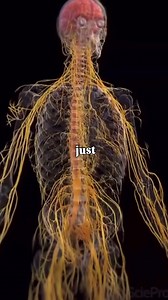 Did you know an emotion only takes about 90 seconds to move through your body? That means your body already knows how to release and return to balance. But here’s the problem: most of us were never taught how to let emotions move. We suppress instead. When emotions don’t get processed, they don’t vanish — they get stored. In your fascia, your muscles, your gut, even your organs. Over time, this creates tension, inflammation, fatigue, and symptoms that just won’t go away. Here’s the truth:👉 You 