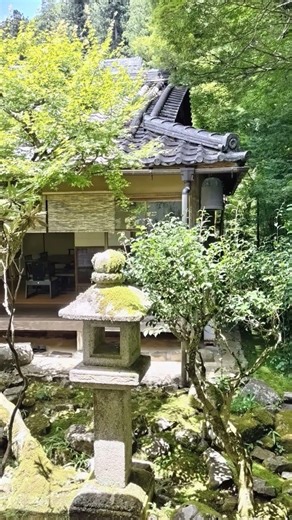 高山寺（京都）#高山寺 #京都 #kozannji #Kyoto #ふきのとう #鳥獣戯画