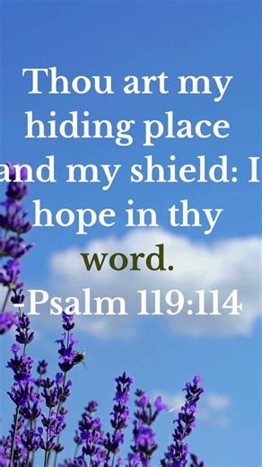 Psalm 119:114 – My Hiding Place and Shield | Bible Verse Reflection