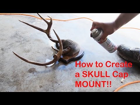 How To Skull Cap Mount A Deer. Simple Fast and Effective. rtc Outdoors Shop.