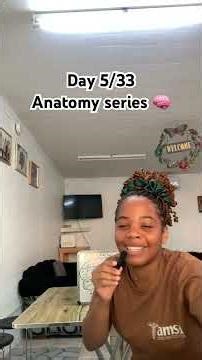 The part of the brain needed for long term memory