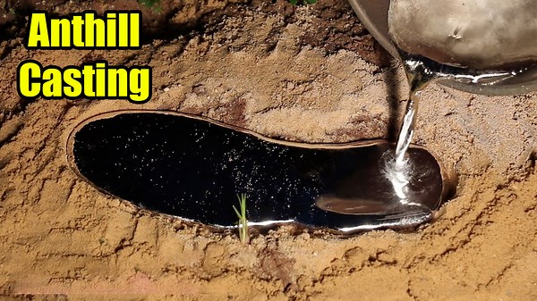 From Disaster to Art: The Story Behind 5 Fire Ant Colony Castings in One Night