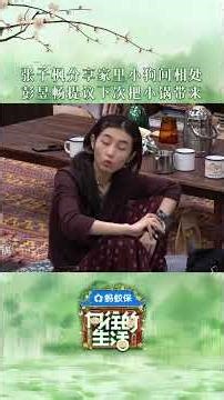大家还记得小锅是哪一年出生的吗#向往的生活 #backtofield #向往的生活戏如人生