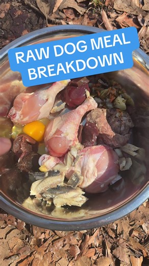 Raw meaty bones, muscle meat, fat oily fish, liver, other secreting organ, and fiber. This is how you balance raw food. Much more bioavailable than kibble, and real vitamins and minerals — not synthetic supplements. This is real food. Kibble is an MRE. Nobody thinks MREs are healthy if you ever served. #rawfeddogs #DogNutrition #caninenutritionist #doghealth #realfood