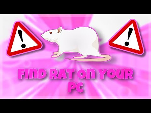 How To Find A Rat On Your Pc