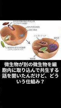 559_微生物が別の微生物を細胞内に取り込んで共生する話を聞いたんだけど、どういう仕組み？