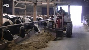 Fricciones en la política agraria europea de presupuestos