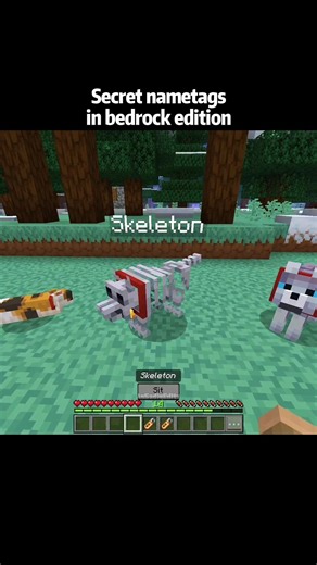 Minecraft pets nametags in actions and stuff