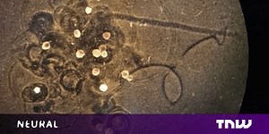 New living robots made from frog cells can self-heal and record memories