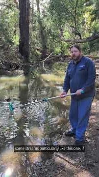 Water Quality Monitoring – How to take a sample