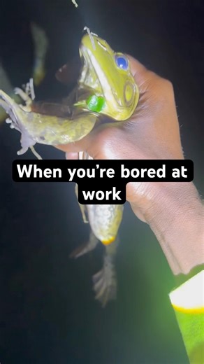 Do you eat FROG LEGS? #bullfrogs #frog #nature #outdoors #work #lunch #shorts #fyp #reels #fun