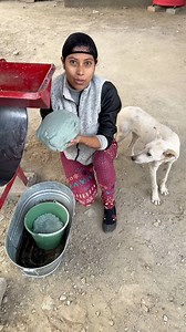 391K views · 6K reactions | Masa color azul,con buena textura #procedimientos #nixtamalization #recetas #facil #videosvirales #fypシ゚viralシ | Maura La Poblanita | Facebook