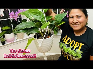 Como hacer un macramé o porta macetas en menos de 5 minutos